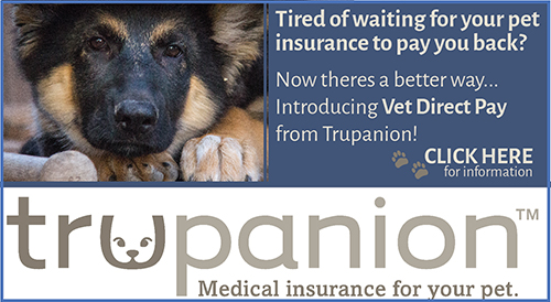 petinsurancetrupanion | Veterinarian in Hauppauge, NY | Towne Line  Veterinary Group